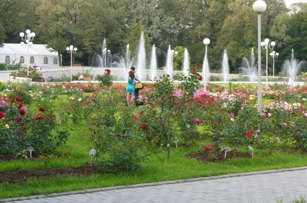 Ботанические сады Москвы – зеленые парки столицы