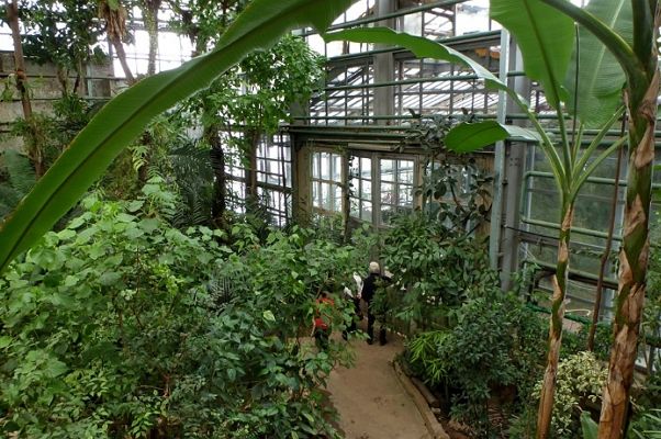 Ботанические сады Москвы – зеленые парки столицы