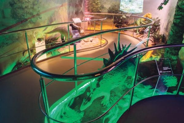 Музей Дарвина – разнообразие животного мира планеты