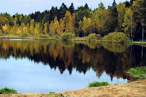 Водоемы Москвы – пруды, озера и открытые бассейны