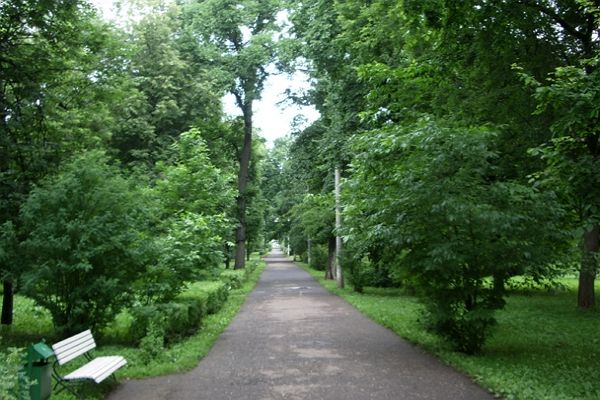 Парк «Березовая роща» — русские пейзажи