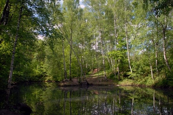 Битцевский лес – пейзажный парк в районе Ясенево