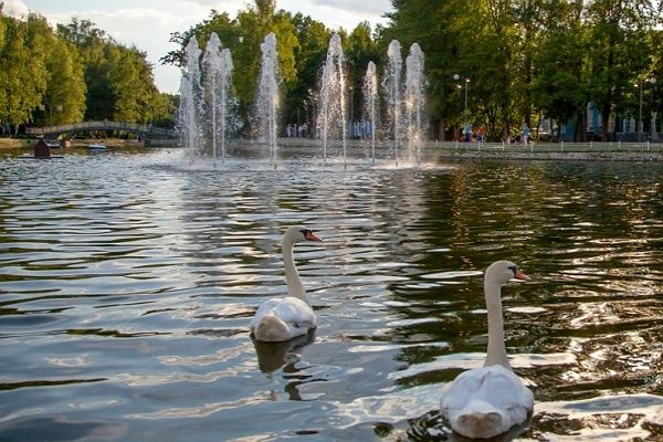 Парк «Лианозовский» – природная территория для развлечений