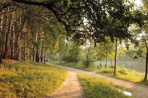 Парк «Тимирязевский» – лесопарк на севере Москвы